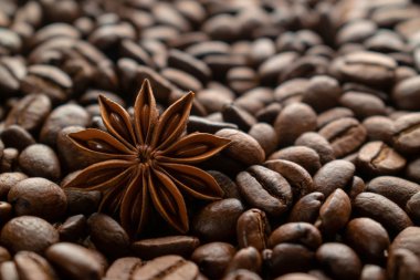 Kahve çekirdekleri ve anasonu