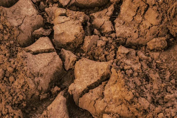 Texture of light soil soil. Background of dirt, soil with a trac