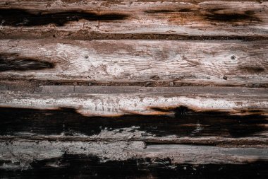 Yanmış ağacın doku arka planı. Köknar izleri olan eski bir ağaç.