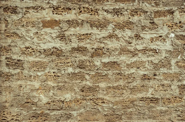 Fondo de una pared de ladrillo hecha de concha, la textura de poroso —  Fotos de Stock