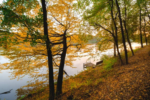 Autumn Foliage Lake Morning Pier — Stock Photo, Image