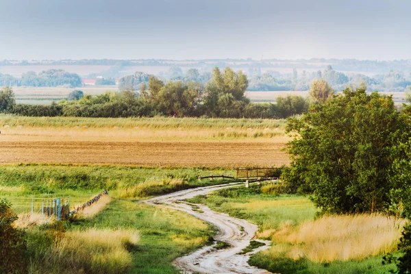 Strada Sterrata Sul Campo — Foto Stock