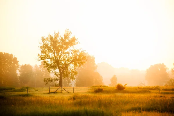 Sunrise Countryside — Stock Photo, Image