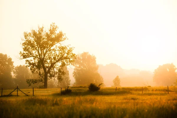 Восход Солнца Сельской Местности — стоковое фото