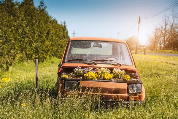 Old Vehicle Garden Flowerpot — Stock Photo, Image