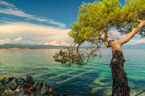 Landscape Photo Krk Island — Stock Photo, Image