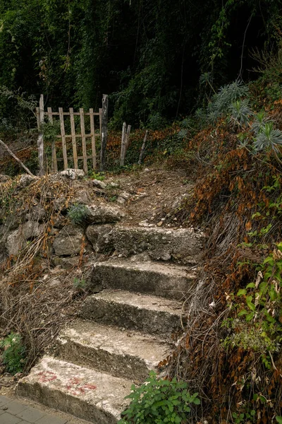 Treppe Alten Garten — Stockfoto
