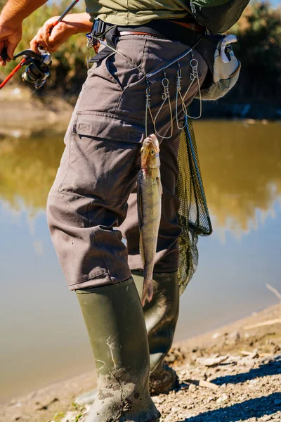 Fische Hängen Mit Angelrute Fischergürtel — Stockfoto