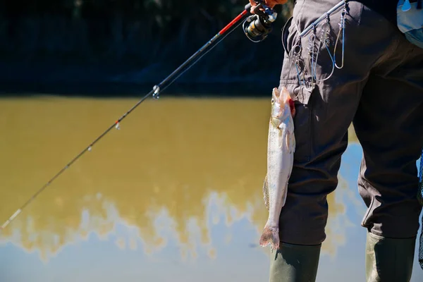 Fische Hängen Mit Angelrute Fischergürtel — Stockfoto