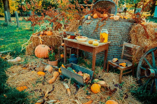 Herbst Vintage Dekor Mit Kürbissen — Stockfoto