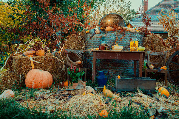 Autumn vintage decor with pumpkins