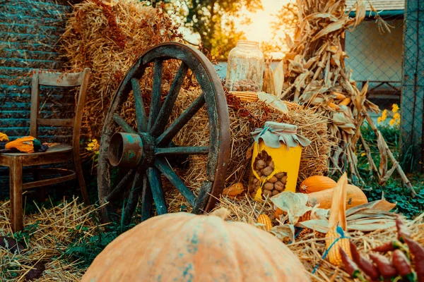 Höstens Vintage Inredning Med Pumpor — Stockfoto