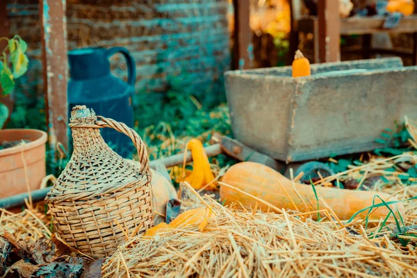 庭の秋の装飾 — ストック写真