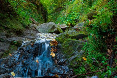 Dağ sonbahar bir şelale