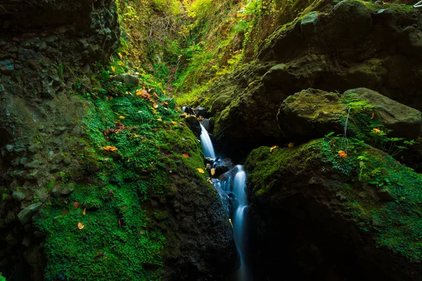 Waterfall Mountain Range Autumn — Stock Photo, Image