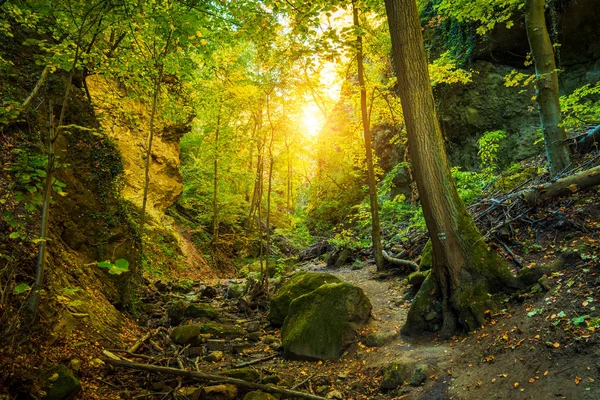 Bergtal Nationalpark Landschaft Blick — Stockfoto