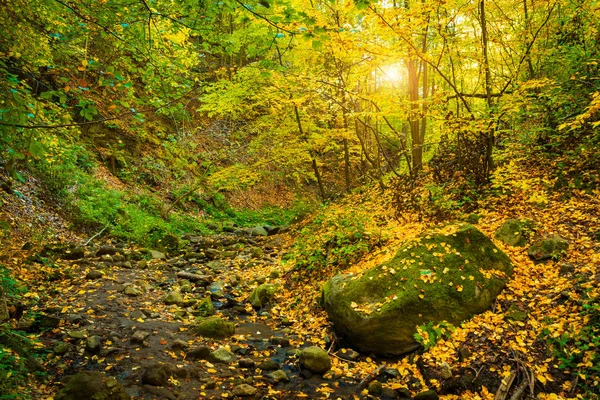 Mountain Valley National Park Landscape View — Stock Photo, Image