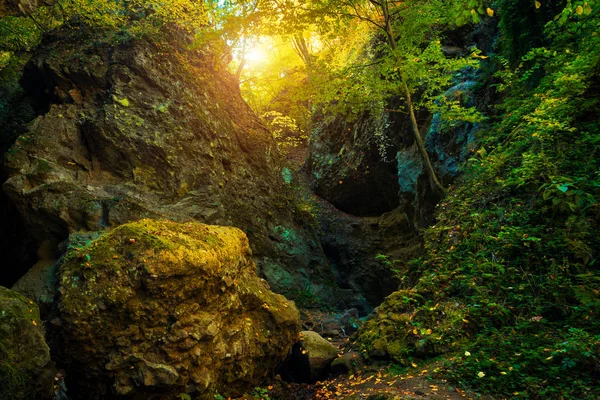 Montanha Vale Parque Nacional Paisagem Vista — Fotografia de Stock