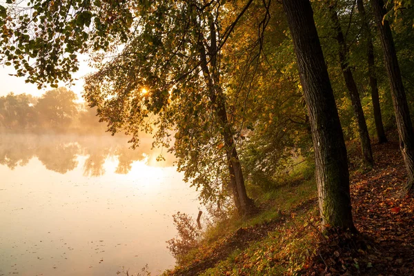 Lac Automne Dans Des Lumières Douces Chaudes — Photo