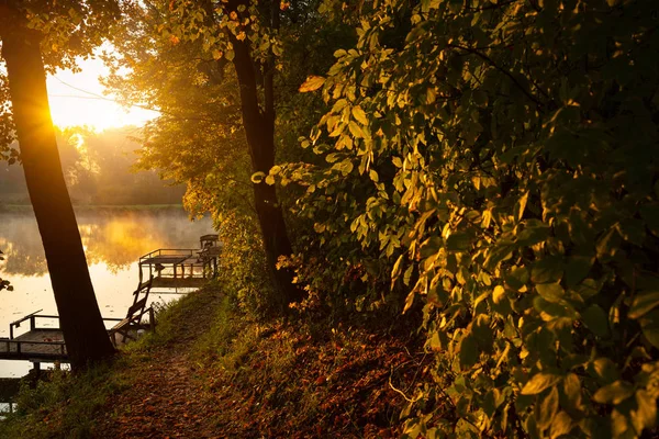 Podzimní Jezero Ranní — Stock fotografie