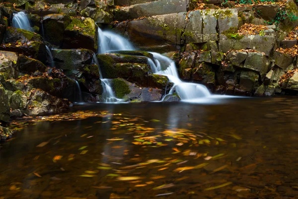 Flusso Cascata Nella Foresta Autunnale — Foto Stock