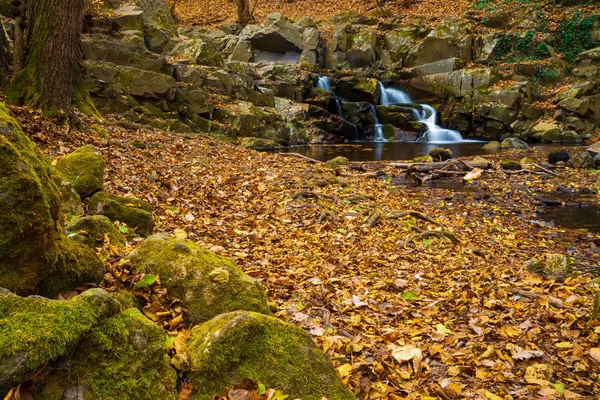 Flusso Cascata Nella Foresta Autunnale — Foto Stock