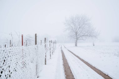Yol çit ve ağaç bir sisli kış alanı