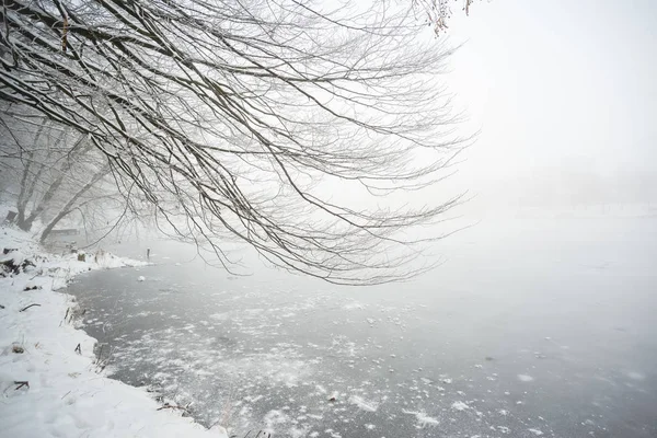 Зимнее Замерзшее Озеро Тумане — стоковое фото
