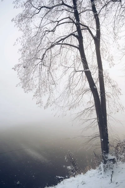 Winter Frozen Lake Fog — Stock Photo, Image