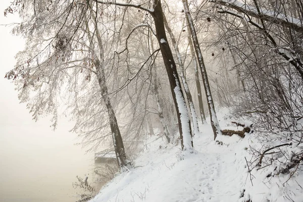 Pier Lago Inverno Congelado Nevoeiro — Fotografia de Stock