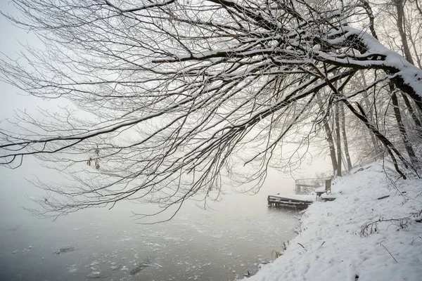 Muelle Lago Invierno Congelado Niebla — Foto de Stock