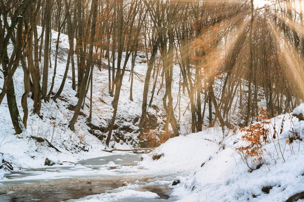 Vloeiende Stroom Winter Forest Met Zonnestralen — Stockfoto