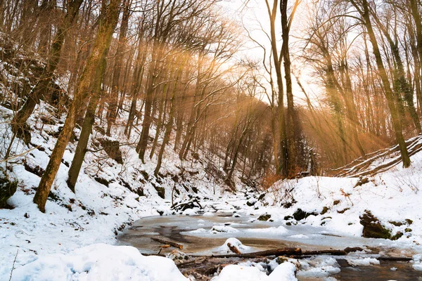 太陽光線 冬の森に流れるストリーム — ストック写真