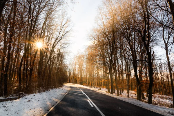 Kışın Ağaçları Arasında Asfalt Yol — Stok fotoğraf