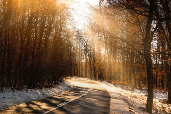 Estrada Asfalto Entre Árvores Inverno — Fotografia de Stock