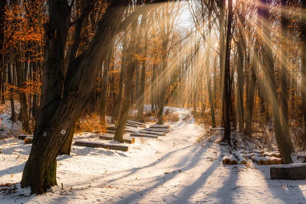 Belo Pôr Sol Inverno Com Árvores Neve Raios Sol — Fotografia de Stock