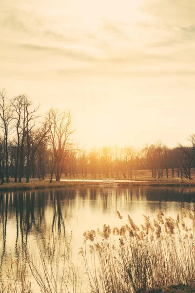 Lago atardecer en el parque —  Fotos de Stock