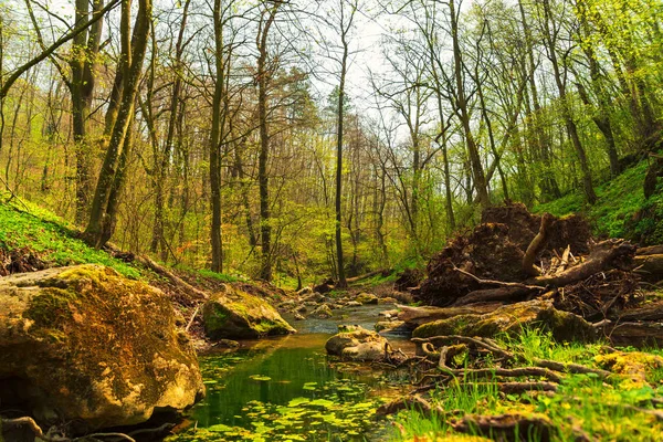 Flödande bäck i den gröna vår skogen — Stockfoto