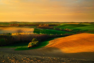Tepelerin güzel bir bahar manzara
