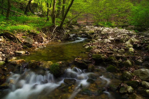 Fluyendo arroyo en el hermoso bosque verde —  Fotos de Stock