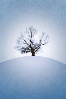 Kış tepede yalnız ağaç