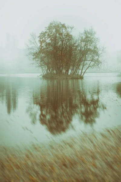 Outono lago nebuloso — Fotografia de Stock