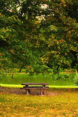Güzel sonbahar parkında bankta