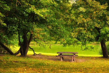 Güzel sonbahar parkında bankta