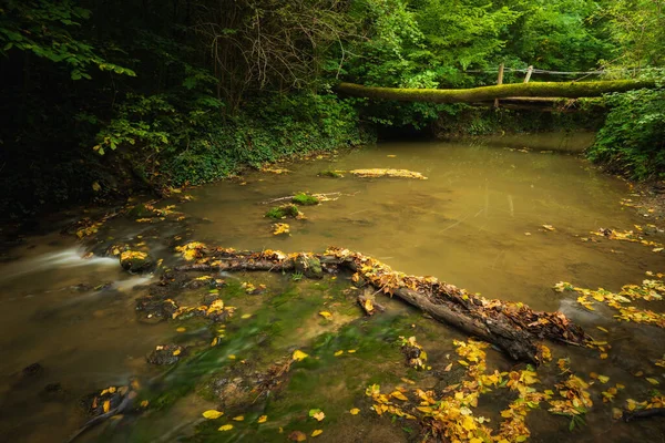 Fluir Bosque Otoñal — Foto de Stock