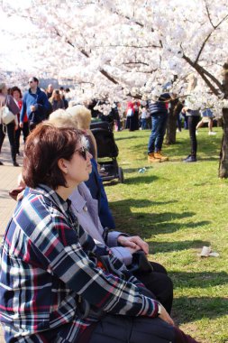 Vilnius, Litvanya - 04 22 2019: Sugihara parkında bir bankta oturan yaşlılar
