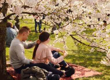 Vilnius, Litvanya - 04 22 2019: Sugihara parkında sakuralara sakuras kazandıran tatlı çift