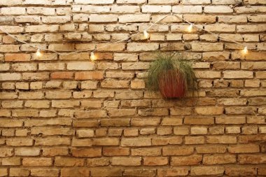 Saksı bitki ve ampuller eski sarı tuğla duvar