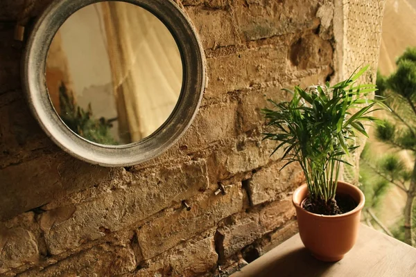 Masa üstü üzerine saksı bitki yakınında tuğla duvara asılı küçük yuvarlak ayna