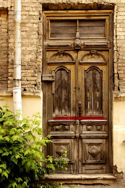 Bitki ile sarı tuğla duvarda eski ahşap kapı — Stok fotoğraf